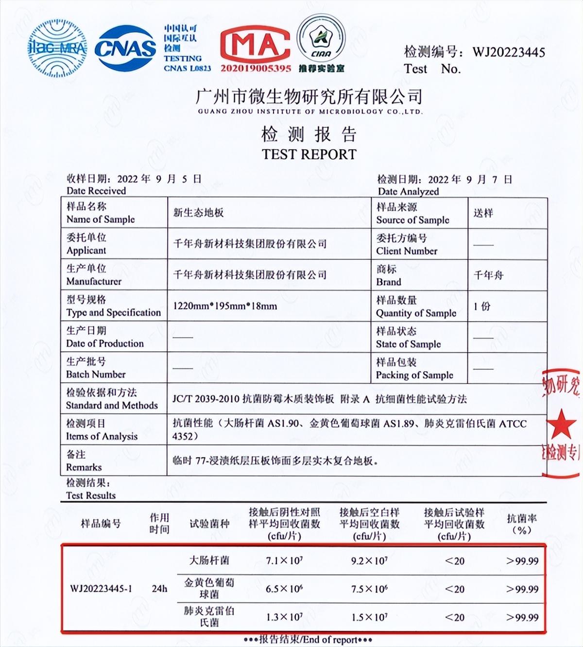 千年舟地板品牌定位与市场影响力深度解析，实力展现一线品牌风采