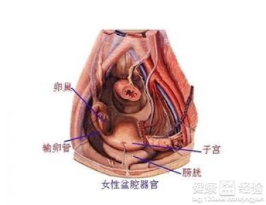 盆腔少量积液，关注还是不必过分紧张？