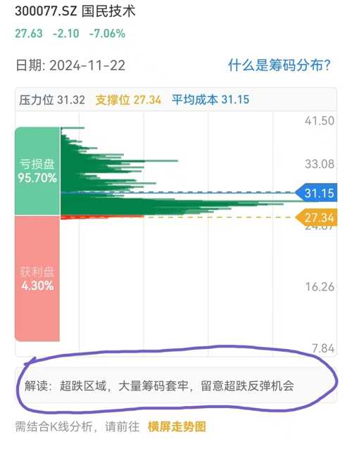 国民技术最新动态，未来趋势与行业洞察