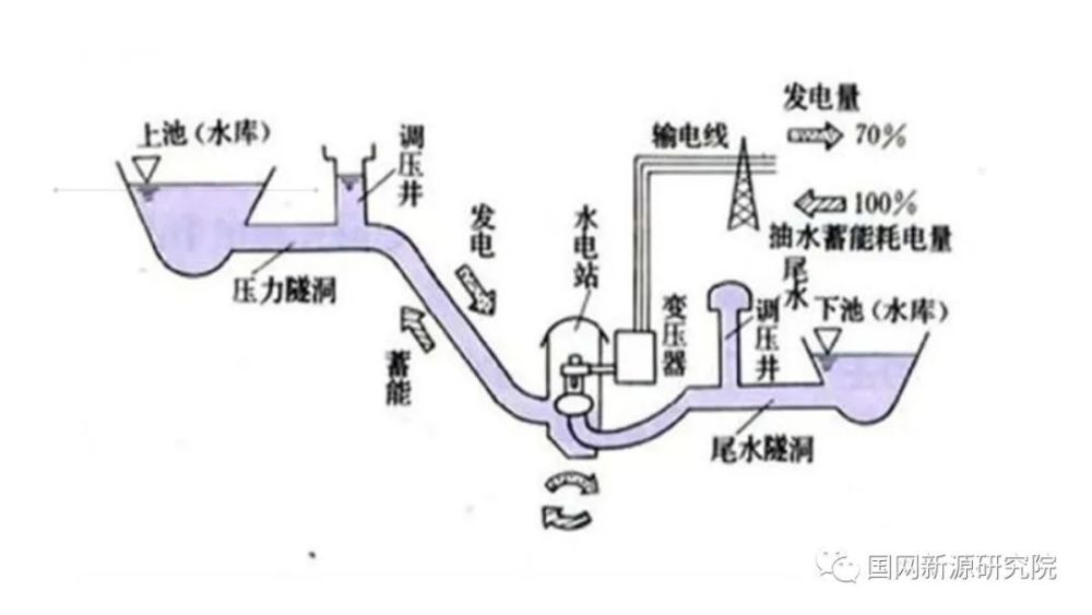 冬眠机制最有可能为人类研究提供有价值参考的动物是，，松鼠，松鼠是啮齿目松鼠科松鼠属的哺乳动物。松鼠的冬眠机制非常有趣且复杂，它们能够在冬季降低体温、减少代谢率，并在需要时迅速恢复活力。这种机制对于人类研究冬眠具有重要的参考价值，有助于人类了解冬眠的生理和生化机制，为未来的医学和生物科学研究提供新的思路和方法。