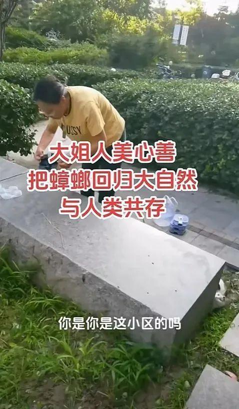 两老人在河边放生大米