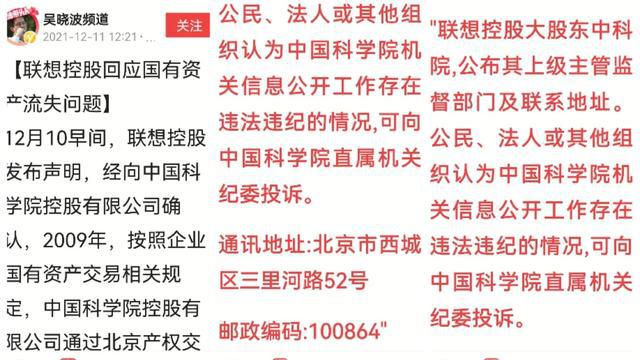 柳树的多面魅力与文化内涵探索，柳字组词全解析