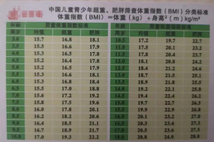 男性BMI对照表2024，解读及应用指南全解析