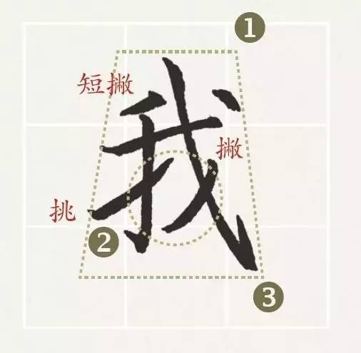 揭秘汉字奥秘，杨字右半边的正确读音探索