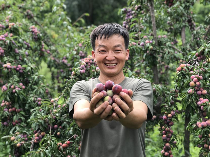 村委会打征婚广告，寻找真爱，搭建幸福的桥梁