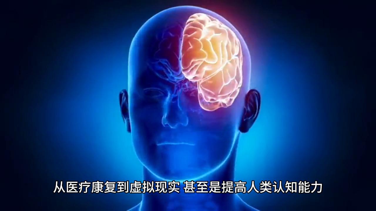 BMI计算指南，如何电脑计算身体质量指数