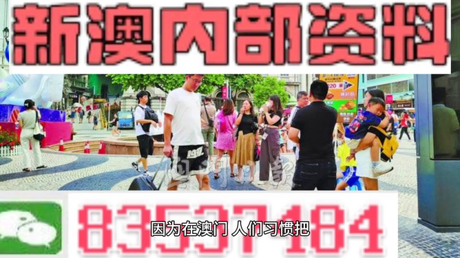 2024澳门精准正版资料大全,多元化方案执行策略_开发版13.29