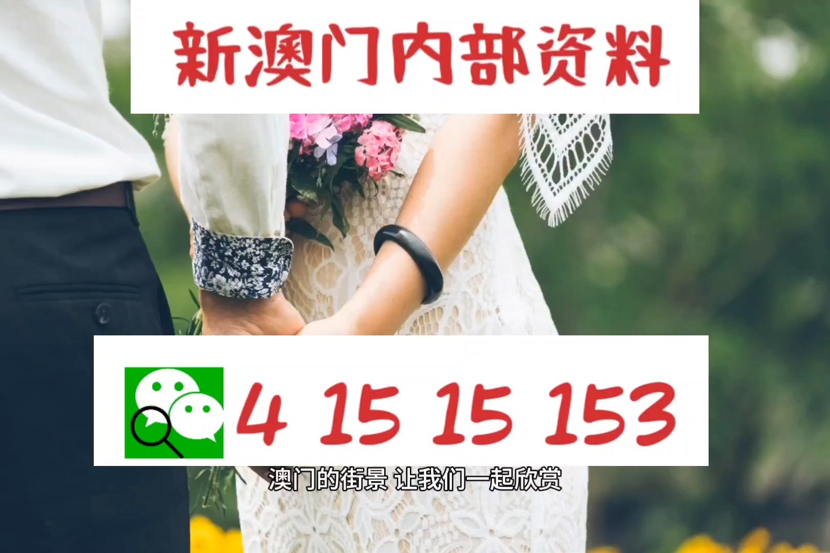 新澳门管家婆资料传真,实时解析数据_bundle11.704