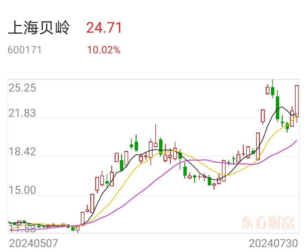 2024年12月17日 第29页