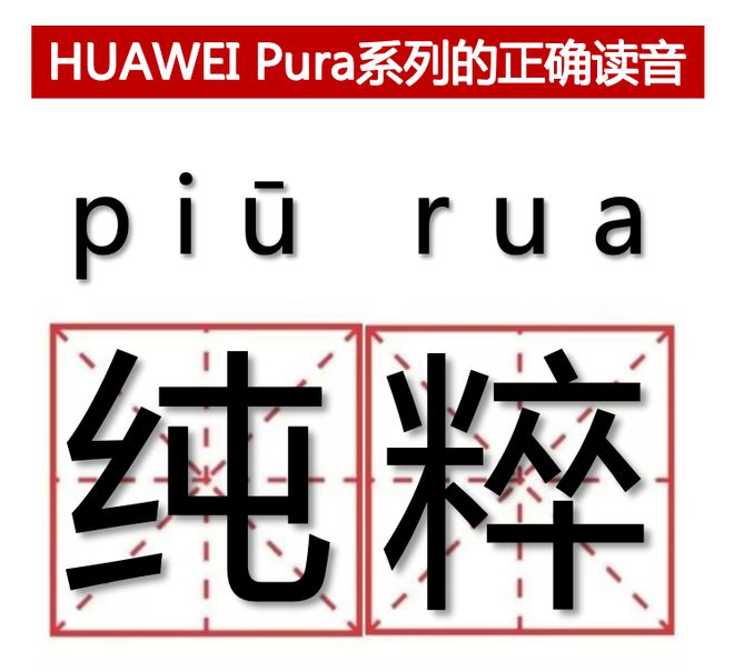 2024年12月17日 第27页