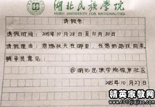 学生请假条使用指南，请假流程与注意事项详解