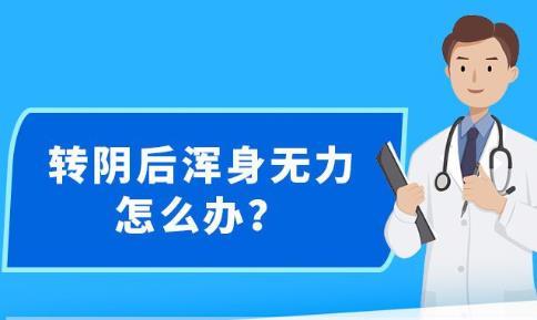 新澳精准资料大全免费更新,数据导向计划解析_运动版42.125