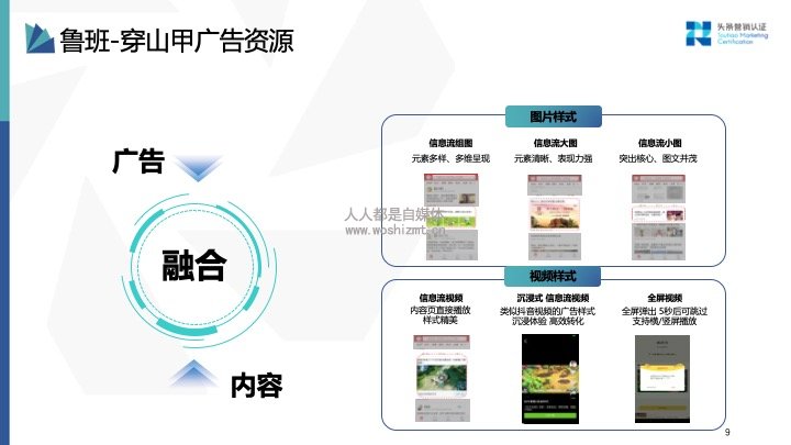 鲁班电子商务平台，引领电商新纪元重塑之旅