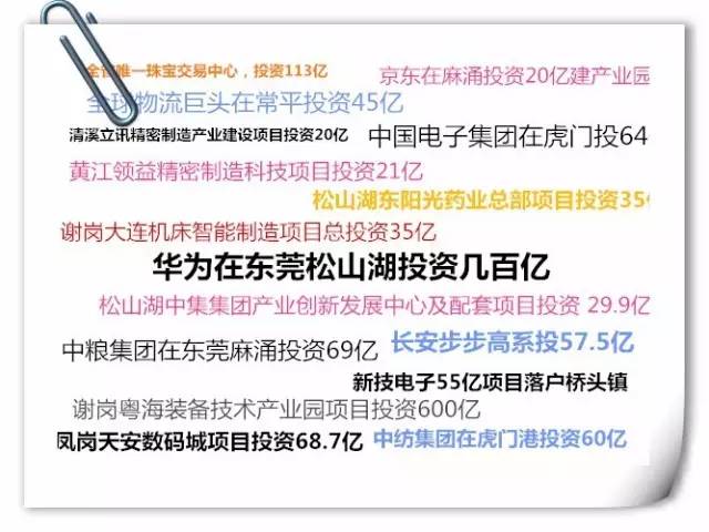 东莞36个性项目的实施步骤与策略详解