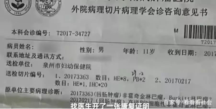 浙大教师涉嫌造假，学生遭英拒签