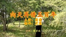 向天再借五百年歌曲歌词的魅力与启示解析