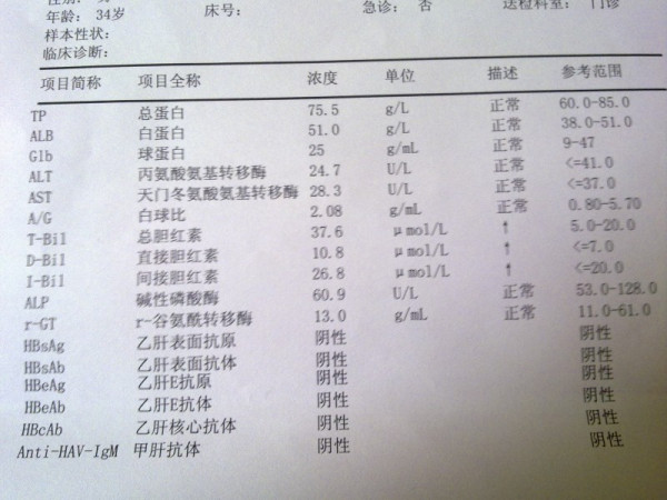 间接胆红素偏高的原因与危害解析