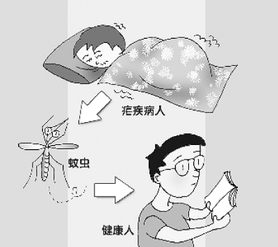 人类冬眠，疾病是否会不治而愈？