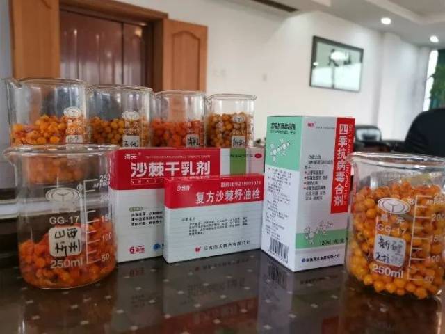 沙棘干乳剂的服用时间解析，饭前还是饭后？