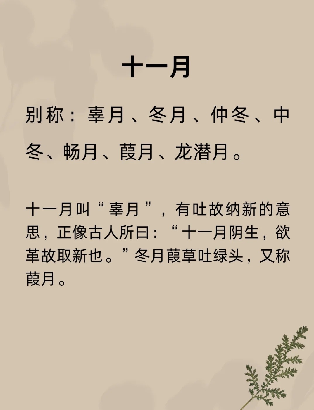 冬月魅力揭秘，解读十一月之独特风采