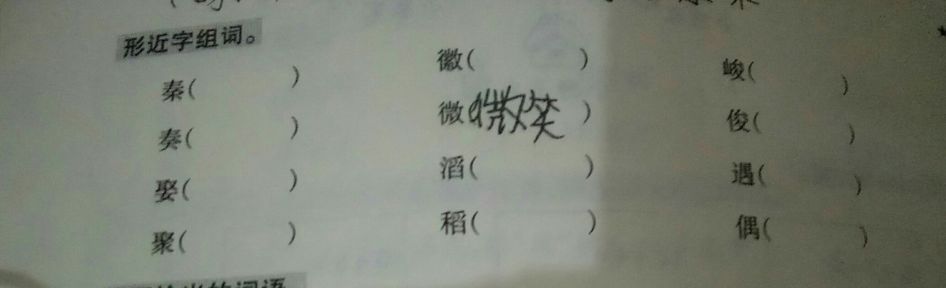 探究形近字，汉字的魅力与词语丰富性解析