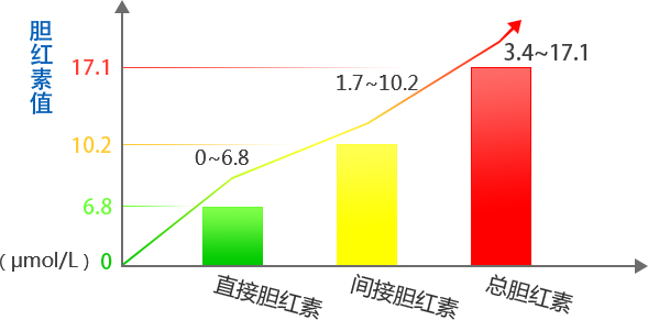 2024年12月 第176页