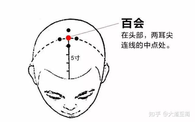 百会穴位准确位置图，揭秘人体穴位奥秘