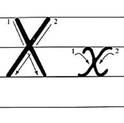 汉字之美探究，果字的笔顺笔画解析