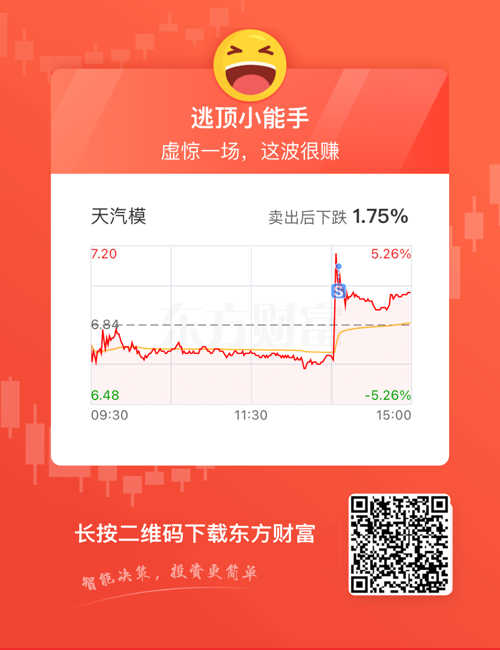 东方财富网视角下的天汽模股票投资价值解析