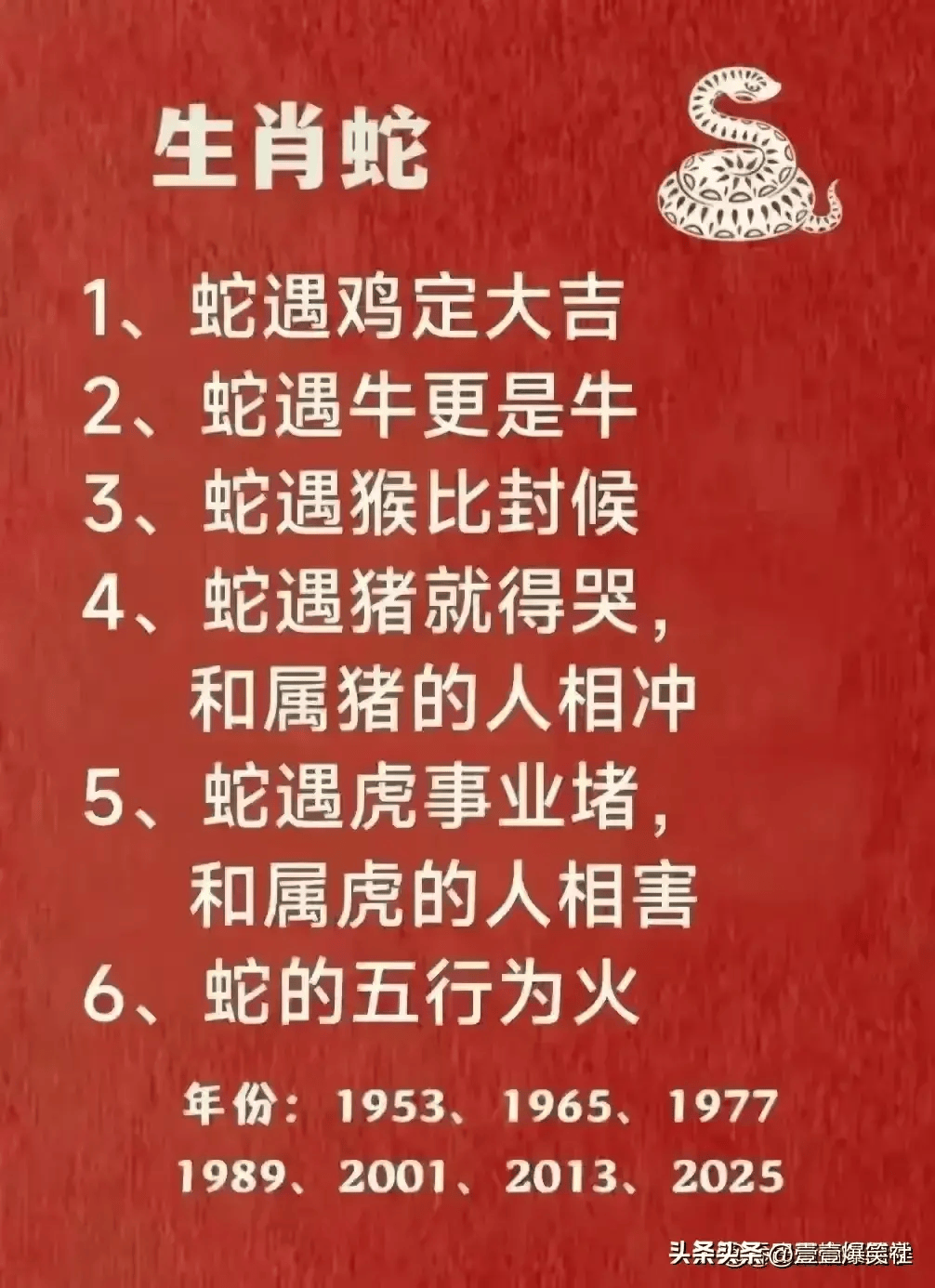 十二生肖金句，探寻古老文化的智慧结晶与魅力