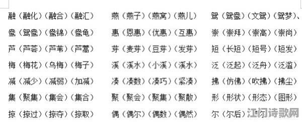 探索憧组词的魅力之旅