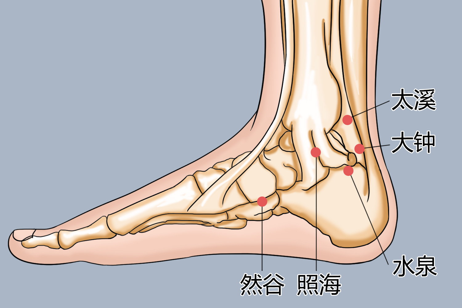 admin 第20页