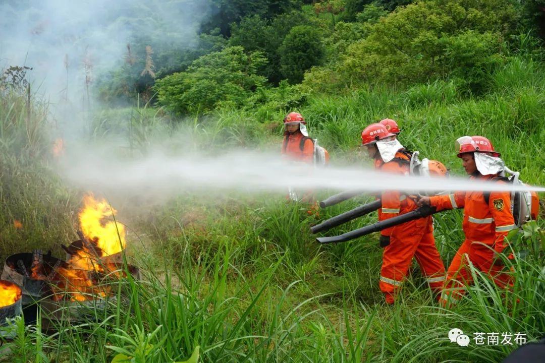 苍南天气预报，气象洞察与未来展望——精准预测未来30天的气象变化