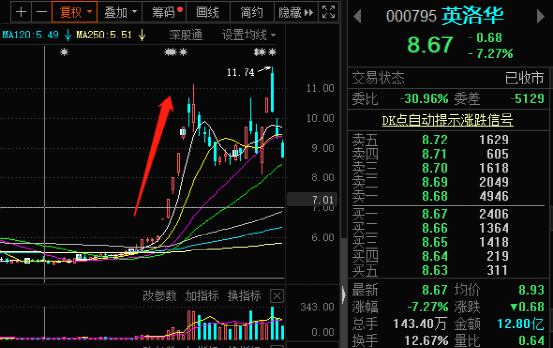 英洛华，未来大牛股的潜力与机遇探寻