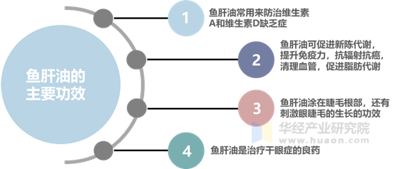 鱼肝油的多重健康益处深度解析与视频探索