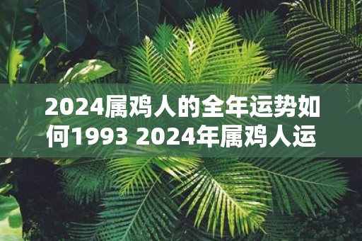 属鸡人2024年运势解析，年龄及运势详解