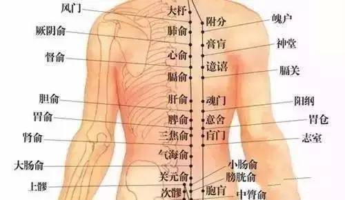 商业智慧 第197页