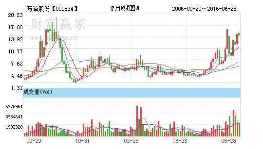 万泽股份深度解析，公司业务与战略定位探究