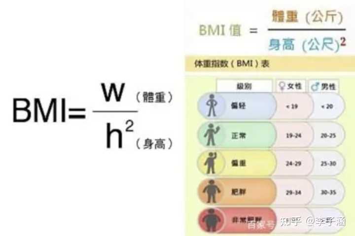 BMI计算公式的解读与应用指南