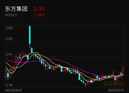 东方集团股市动态与前景展望深度解析——股吧热议话题聚焦