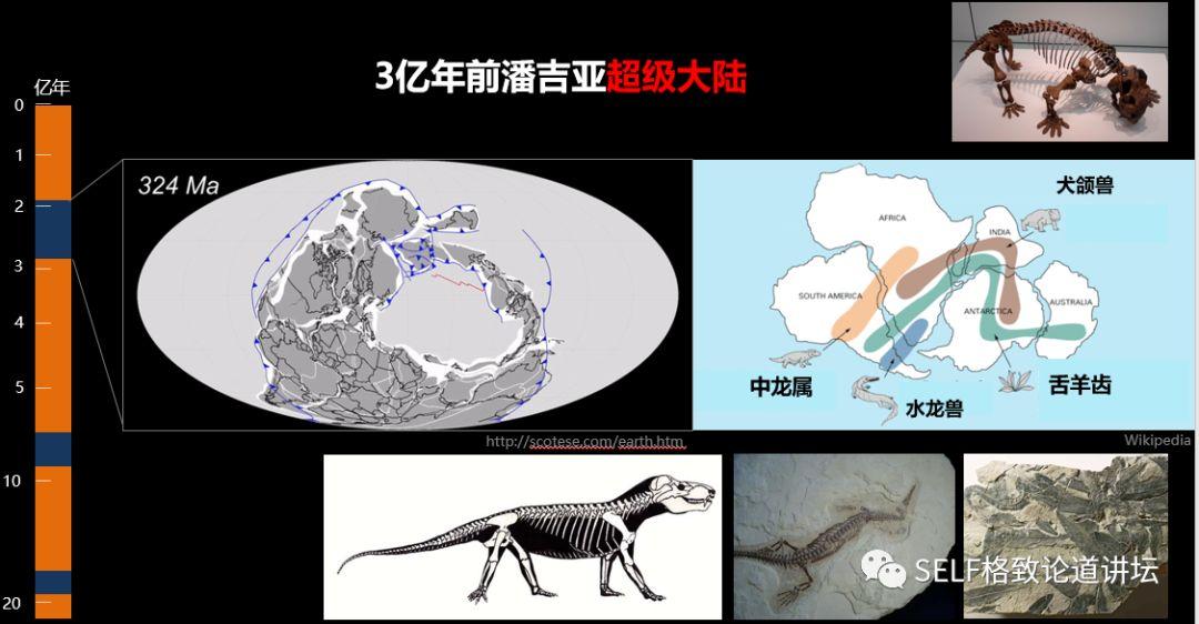 Pan词汇的多元解读演变之路