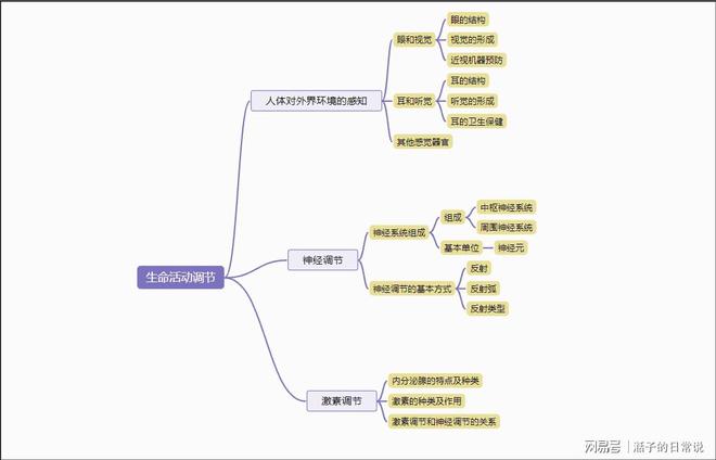 父爱之舟与思维导图的智慧启示