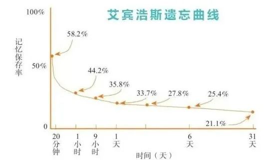 艾宾浩斯遗忘曲线揭示记忆与遗忘的奥秘