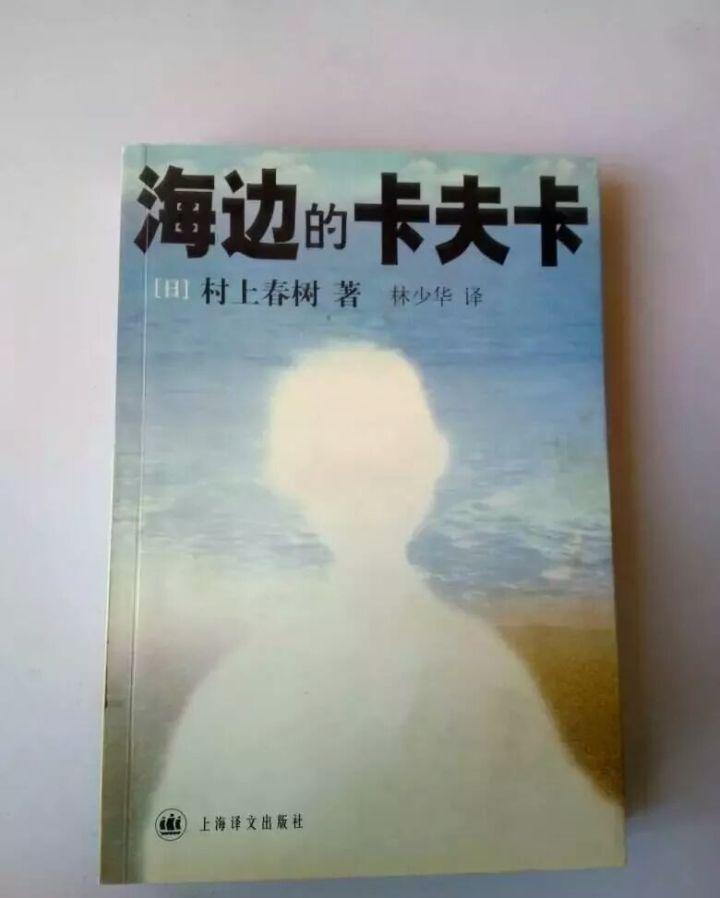 写作猫网页版登录，在线写作工具的全新探索