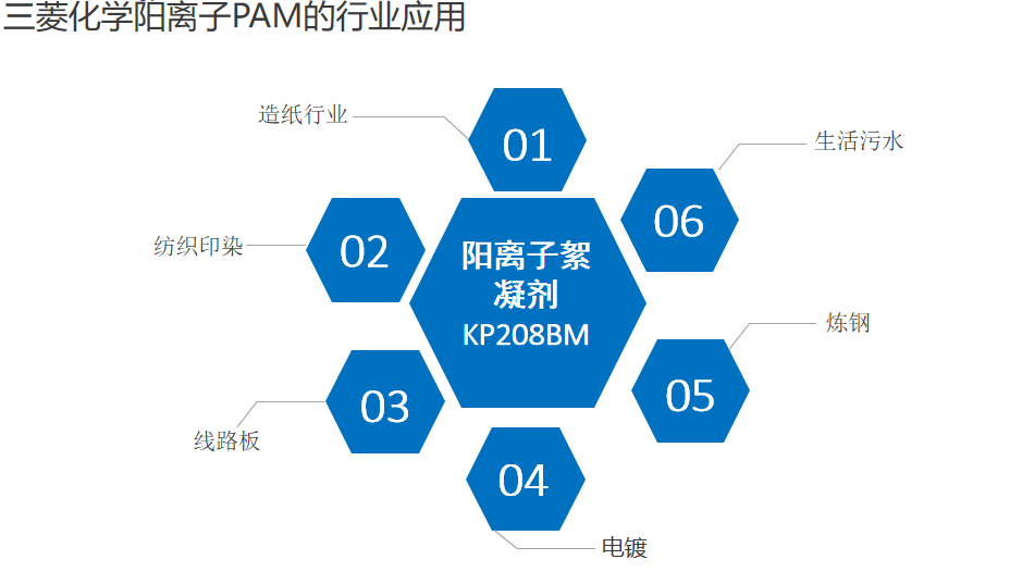 2025年1月27日 第17页