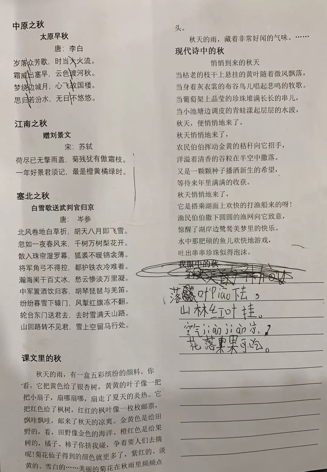 父爱之舟与课堂笔记，深度父爱与知识力量的探索