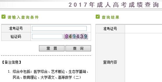 新疆成人高考成绩查询官网入口，轻松便捷获取成绩信息