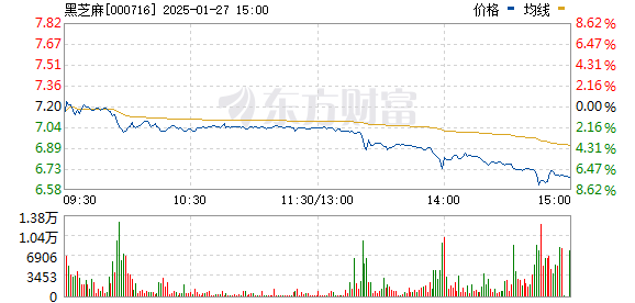 黑芝麻股票公司深度解析与发展展望