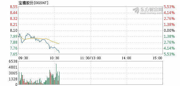 宝鹰股份股票，深度探索与未来前景展望