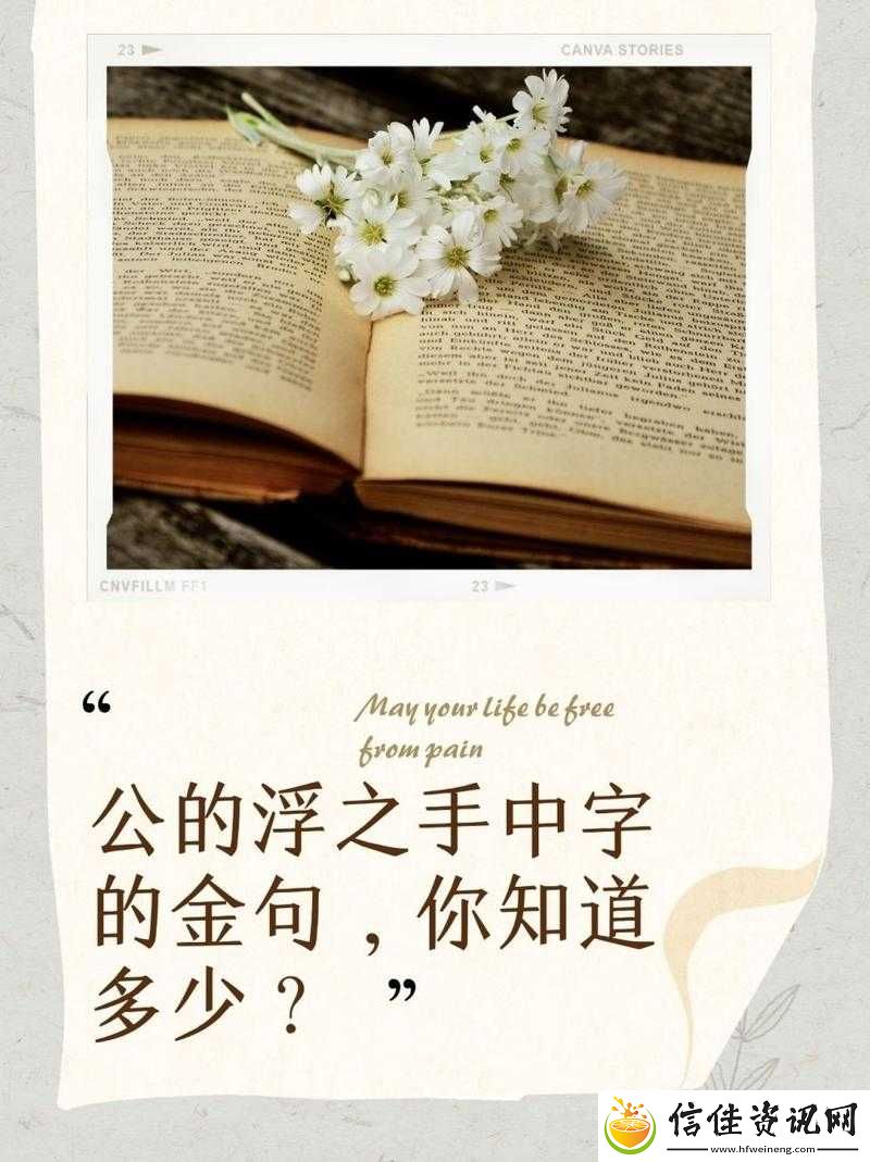 公gong浮之手，探索中字的奥秘与魅力